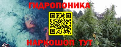 эйфоретик Тара