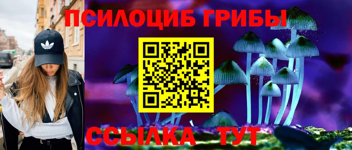 Нефтеюганск  Псилоцибиновые грибы GOLDEN TEACHER  Вход с VPN 